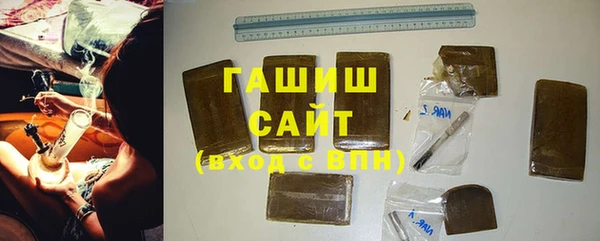 индика Богородск