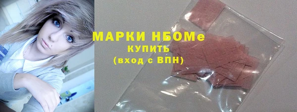 индика Богородск