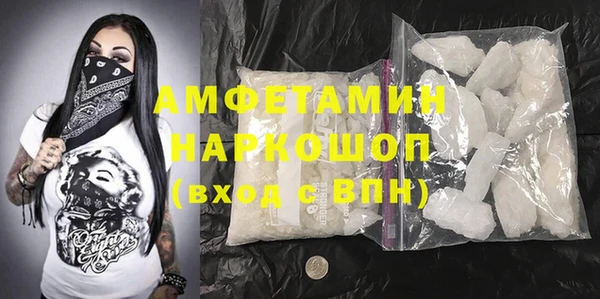 индика Богородск