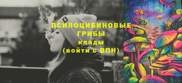 индика Богородск